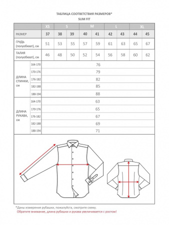 Рубашка Dave Raball Slim fit воротник на пуговицах 000205 