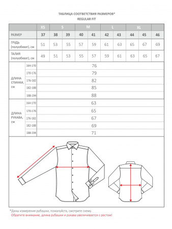 Сорочка Dave Raball Regular fit в коричневую полоску 000277 