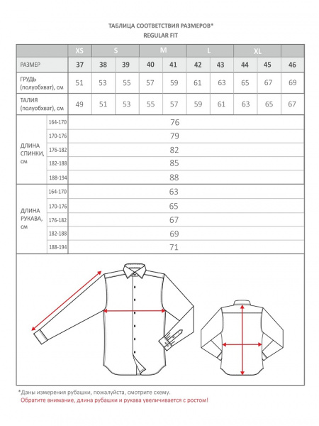 Голубая сорочка Dave Raball Regular fit 007765 